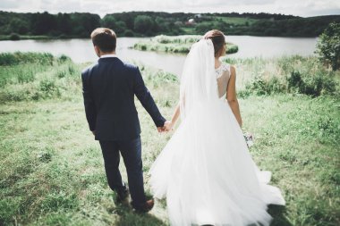 Romantik, peri masalı, mutlu yeni evli çift parkta sarılıp öpüşüyor, arka planda ağaçlar....