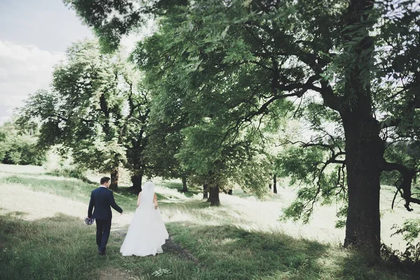 Romantisk Saga Glada Nygifta Par Kramas Och Kyssas Park Träd — Stockfoto