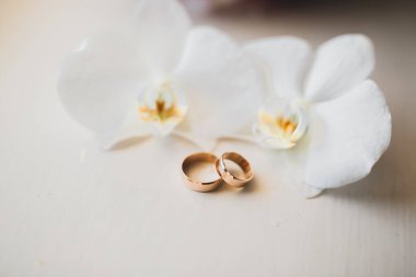 İki altın alyans izole edilmiş arka plan.