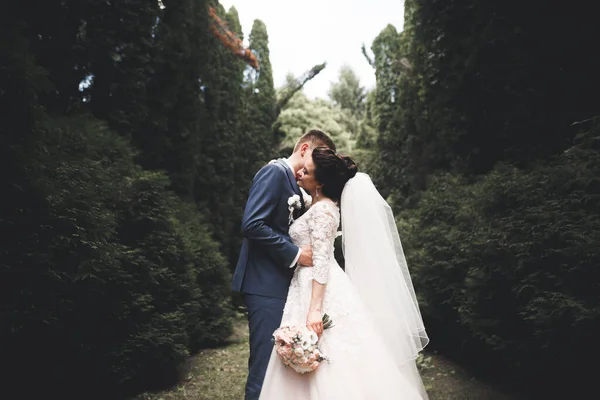 Újdonsült Házaspár Fut Ugrál Parkban Miközben Fogják Egymás Kezét — Stock Fotó