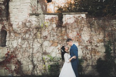 Mükemmel bir çift gelin ve damat düğün günlerinde poz verip öpüşürler..