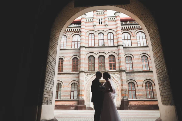 美丽的新婚夫妇漫步在利沃夫古城 — 图库照片