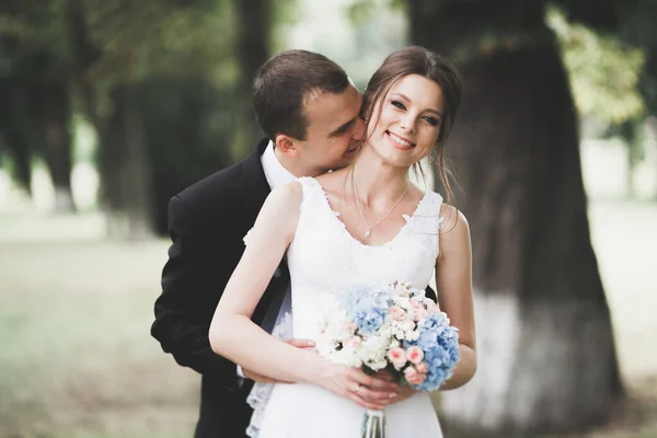Beautiful Romantic Wedding Couple Newlyweds Hugging Park — Stock Photo, Image