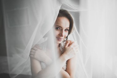 Tüylü, lüks makyaj, saç stili, stüdyo içi fotoğraf çekimi olan güzel bir gelin..