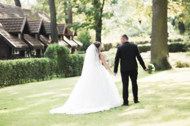 Mükemmel bir çift gelin ve damat düğün günlerinde poz verip öpüşürler..