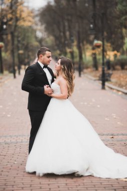 Botanik parkında yürüyen mutlu bir çift..