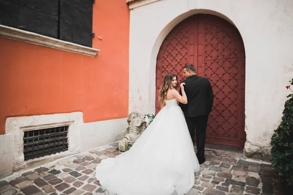 Schönes Glückliches Hochzeitspaar Braut Mit Langem Weißen Kleid — Stockfoto
