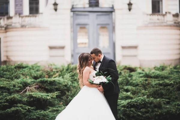 Casal Feliz Encantador Casamento Noiva Com Vestido Branco Longo — Fotografia de Stock