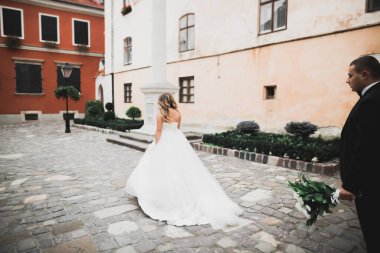 Güzel mutlu bir düğün çifti, uzun beyaz elbiseli gelin..