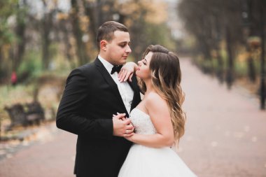 Botanik parkında yürüyen mutlu bir çift..