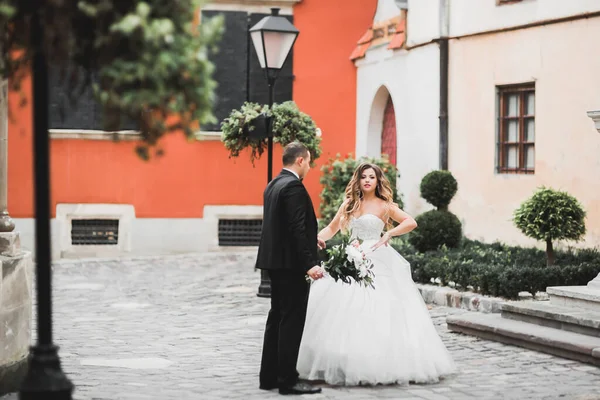 Güzel Mutlu Bir Düğün Çifti Uzun Beyaz Elbiseli Gelin — Stok fotoğraf