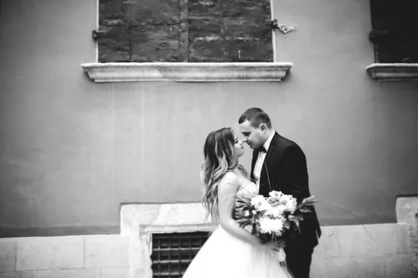 Szép Boldog Házaspár Menyasszony Hosszú Fehér Ruha — Stock Fotó