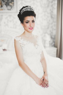 Tüylü, lüks makyaj, saç stili, stüdyo içi fotoğraf çekimi olan güzel bir gelin..