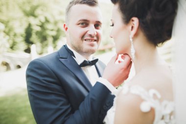 Mükemmel bir çift gelin ve damat düğün günlerinde poz verip öpüşürler..