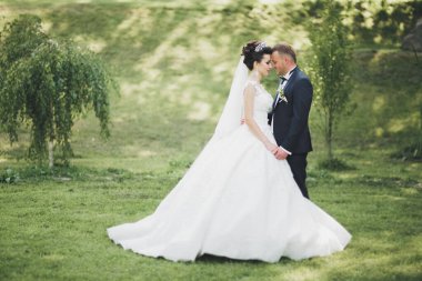 Botanik parkında yürüyen mutlu bir çift..