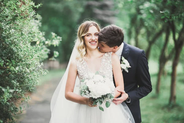 Parkta Kucaklaşan Yeni Evli Çiftin Güzel Romantik Düğünü — Stok fotoğraf
