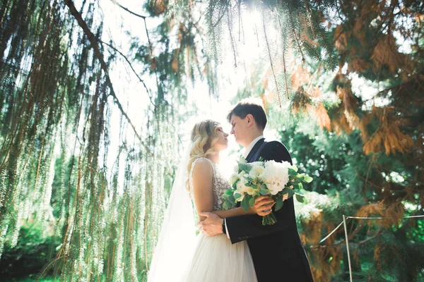 Casal Elegante Recém Casados Elegantes Felizes Andando Parque Seu Dia — Fotografia de Stock