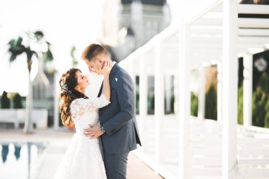 Güzel mutlu bir düğün çifti, uzun beyaz elbiseli gelin..