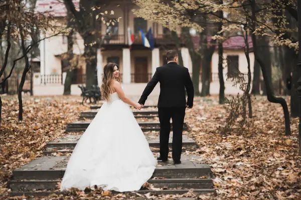 Romántico Cuento Hadas Feliz Pareja Recién Casada Abrazándose Besándose Parque — Foto de Stock
