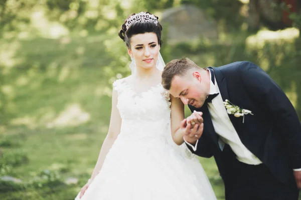 Perfektes Paar Braut Bräutigam Posiert Und Küsst Sich Hochzeitstag — Stockfoto