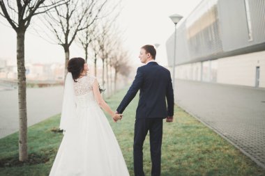 Muhteşem bir düğün çifti eski Lviv şehrinde yürüyor..