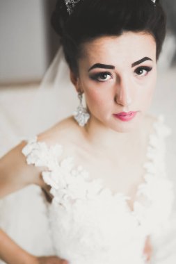 Tüylü, lüks makyaj, saç stili, stüdyo içi fotoğraf çekimi olan güzel bir gelin..