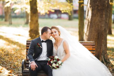 Romantik düğün anı, yeni evli çiftin gülümseyen portresi, gelin ve damadın kucaklaşması.