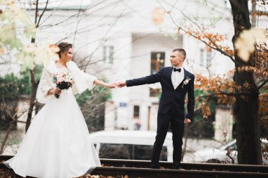 Düğün günü el ele tutuşan çift, damat ve gelin..