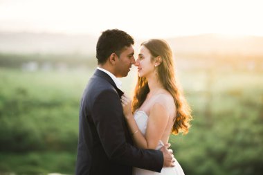 Doğadaki düğün çifti birbirine sarılıyor. Beyaz elbiseli güzel bir kız. Takım elbiseli adam.