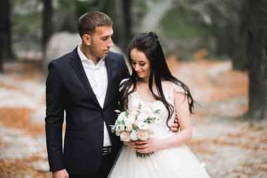 Parkta kucaklaşan yeni evli çiftin güzel romantik düğünü..