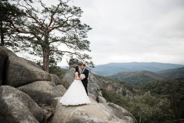 Harika bir gelin damada poz veriyor ve harika manzaralı dağlarda eğleniyor. Mesajlaşacak yer, düğün çifti..
