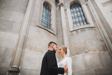 Romantik düğün anı, yeni evli çiftin gülümseyen portresi, gelin ve damadın kucaklaşması.
