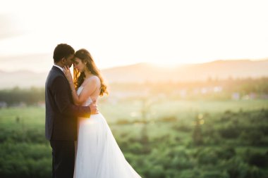 Romantik düğün anı, yeni evli çiftin gülümseyen portresi, gelin ve damadın kucaklaşması.