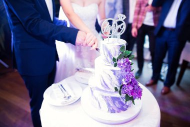 Gelin ve damat düğün pastasını kesiyor..