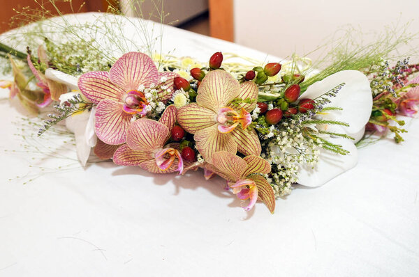 .Bouquet of colored orchids. Orchidaceae.