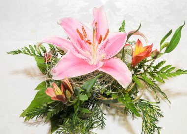 Decoration with pretty pink lily. oriental. Lily stargazer. Lilium. Liliaceae.
