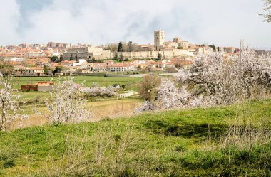 İspanya 'nın eski Zamora kasabasındaki katedral ve kalenin manzarası.