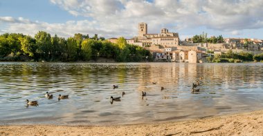 12. yüzyıl Romanesk katedrali ve Zamora, Castilla y Len, İspanya 'daki Duero Nehri üzerindeki su değirmenleri ile şehir manzarası.