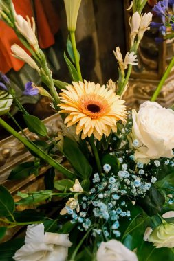 Sarı gerbera bir kutlama için kiliseyi dekore ediyor. Gerbera jamesonii, Asteraceae.