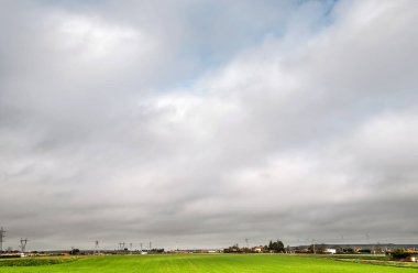 Baharda yeşil tarlaların üzerinde bulutlu gökyüzü.