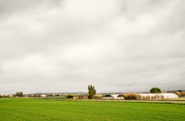 İspanya 'da baharda yeşil ekilebilir arazi üzerinde gri bulutlu gökyüzü. Toprak üzerindeki bulutların yatay görüntüsü. Çiftlikler ve seralar..