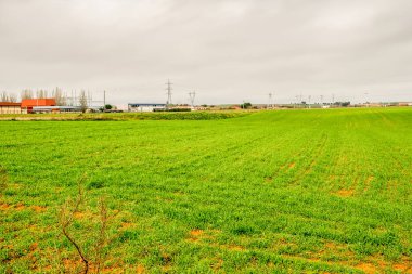 İspanya 'da baharda bulutlu bir gökyüzünün altında yeşil çimlerle ekilen ekilebilir arazi.