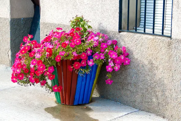 Wooden planter made with a wastebasket with petunias. Petunia  atkinsiana Surfinia. Recycling of materials.