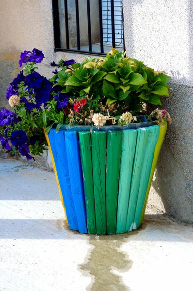 Recycling of materials. Wooden planter made with a bin with beautiful blue petunias. Petunia  atkinsiana Surfinia. Blue and green painted flowerpot placed next to the exterior wall of a house.