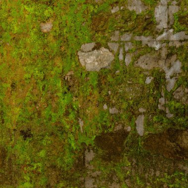 Green grunge background. Old rusty metal texture with moss and lichen