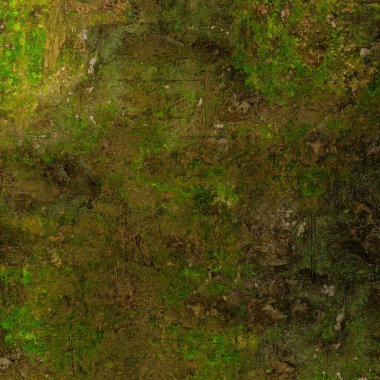 abstract background with green moss on old grunge stone wall texture