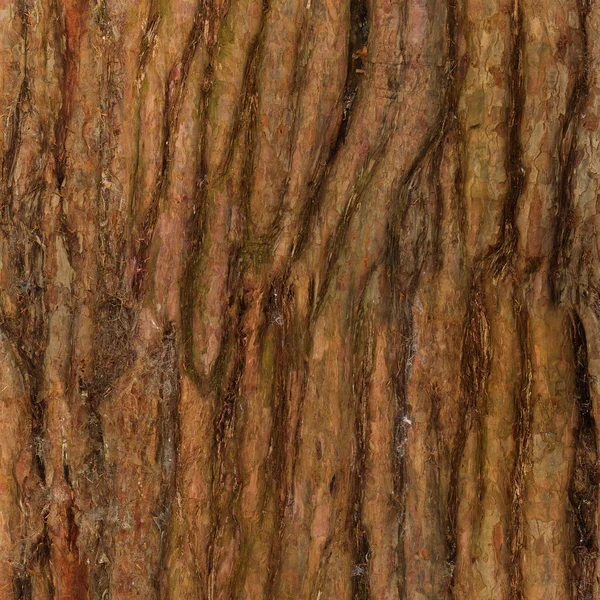 Old wood texture background pattern with high resolution. Surface of old wood plank.