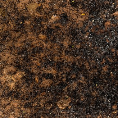 abstract texture and background of the ground