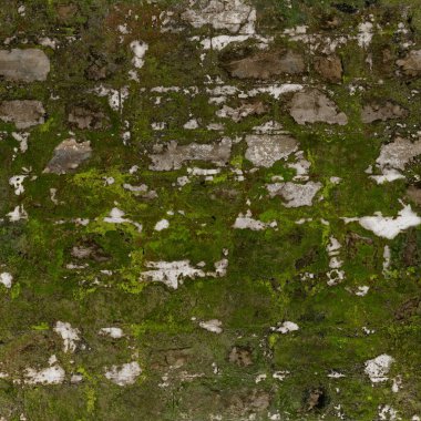 Yosun ve yosunlu taş bir duvarın dokusu