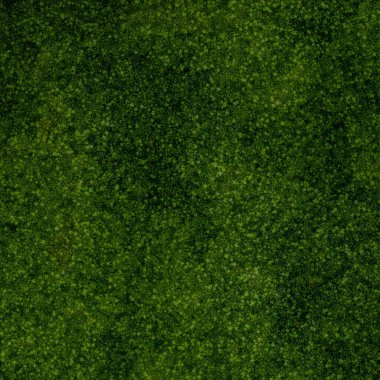 yeşil çimen dokusu arkaplanı